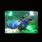 🌟Reflektor akwariowy do akwarium z regulacją kierunku światła
