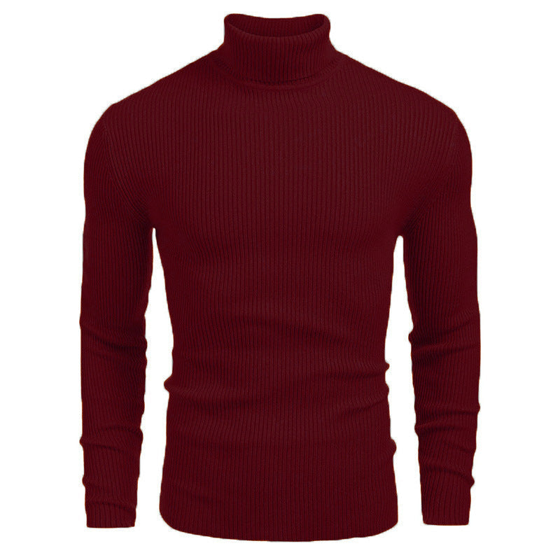 🍂 SÄSONGSERBJUDANDE · -50% | Turtleneck-tröja för män-1