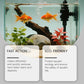 🐠 Easy-Use Water Clarifier – Keep Your Fish Tank Crystal Clear & Healthy 🌊✨