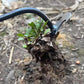🔥Ręczne narzędzie do pielenia w ogrodzie🌱